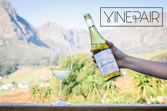 VinePair article on Lautus Sauvignon Blanc